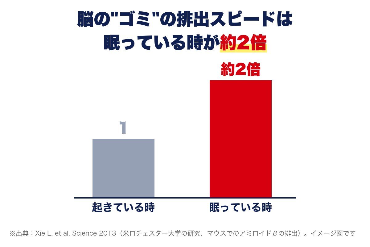 脳のゴミの排出は眠っている時が約2倍という研究のグラフ